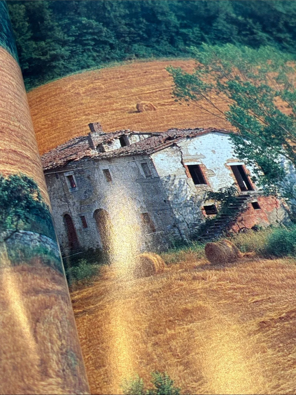 Italy: The Beautiful Cookbook - 100 best recipes by Lorenza De' Medici